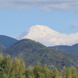 Japon Automne