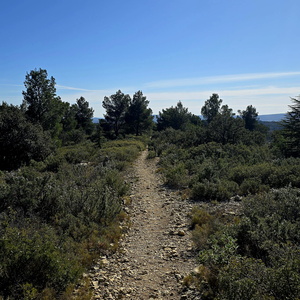 Gorges du Régalon